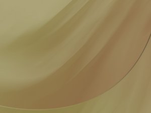 集成学习数据安全和隐私保护